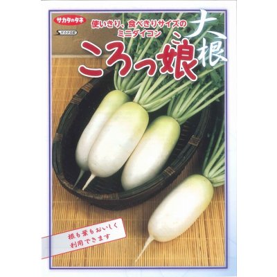 画像2: 送料無料　[大根]　ミニダイコン　ころっ娘　約150粒　(株)サカタのタネ　実咲450（003073）