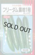 送料無料　[キュウリ]　フリーダム露地1号　350粒　(株)サカタのタネ