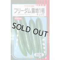 送料無料　[キュウリ]　フリーダム露地1号　350粒　(株)サカタのタネ