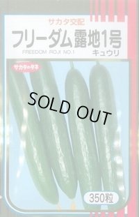 [キュウリ]　フリーダム露地1号　350粒　　サカタ交配