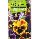 送料無料　花の種　パンジー　シャロンジャイアント混合　0.3ml　タキイ種苗（株）NL200