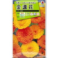 送料無料　花の種　金盞花　スター混合　5ml　タキイ種苗(株)NL200