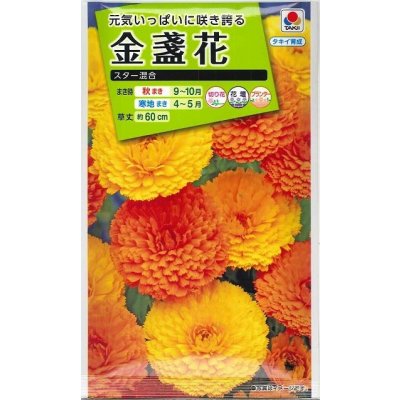 画像1: 送料無料　花の種　金盞花　スター混合　5ml　タキイ種苗(株)NL200