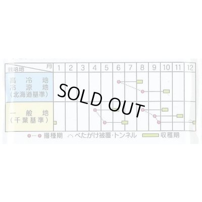 画像2: [シーダー種子]　大根　ころっ娘　1粒×25cm×200m