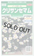 送料無料　花の種　クリサンセマム　ノースポール　約115粒　(株)サカタのタネ　実咲250（026231）