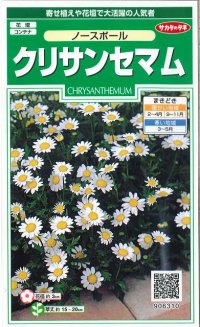 花の種　クリサンセマム　ノースポール　約115粒　　サカタのタネ（株）実咲250