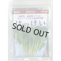 送料無料　[小松菜]　はっけい　2dl　（株）サカタのタネ