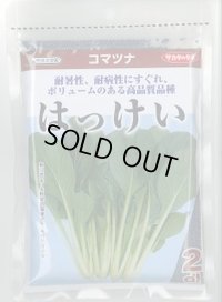 送料無料　[小松菜]　はっけい　2dl　（株）サカタのタネ