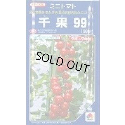画像1: 送料無料　[トマト/ミニトマト]　千果99　1000粒　タキイ種苗(株)