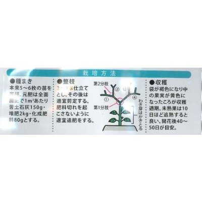 画像3: 送料無料　キャンディーランタン　14粒　（株）大和農園