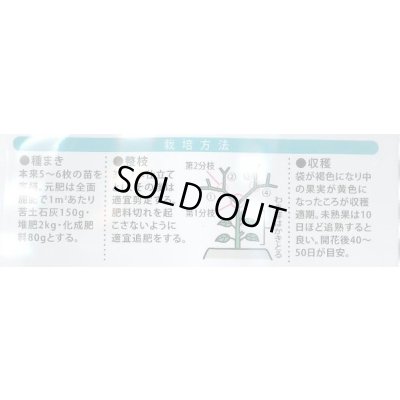 画像4: 送料無料　キャンディーランタン　100粒　（株）大和農園