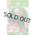 送料無料　[スイカ]　大玉スイカ　縞王西瓜　7粒　大和農園