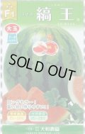 送料無料　[スイカ]　大玉スイカ　縞王西瓜　7粒　大和農園