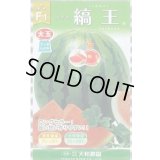 送料無料　[スイカ]　大玉スイカ　縞王西瓜　7粒　大和農園