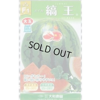 画像1: 送料無料　[スイカ]　大玉スイカ　縞王西瓜　7粒　大和農園