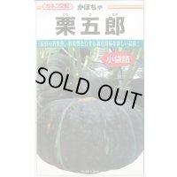 送料無料　[かぼちゃ]　栗五郎　11粒　カネコ種苗（株）