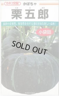 送料無料　[かぼちゃ]　栗五郎　500粒　カネコ種苗（株）