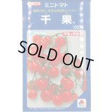 送料無料　[トマト/ミニトマト]　千果　1000粒　タキイ種苗(株)