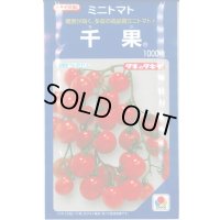 送料無料　[トマト/ミニトマト]　千果　1000粒　タキイ種苗(株)