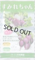 送料無料　[大根]　二十日すみれちゃん　20ml　(およそ1,700粒)(株)大和農園