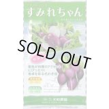 送料無料　[大根]　二十日すみれちゃん　20ml　(およそ1,700粒)(株)大和農園
