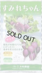 送料無料　[大根]　二十日すみれちゃん　20ml　(およそ1,700粒)（株）大和農園