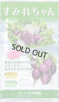 送料無料　[大根]　二十日すみれちゃん　20ml　(およそ1,700粒)(およそ1,700粒)
