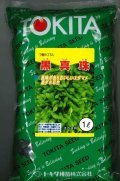 [枝豆]　黒真珠　1L　トキタ種苗(株)