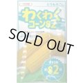 送料無料　[とうもろこし]　わくわくコーン82　100粒　カネコ種苗（株）
