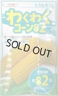 送料無料　[とうもろこし]　わくわくコーン82　100粒　カネコ種苗（株）