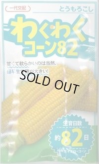 送料無料　[とうもろこし]　わくわくコーン82　100粒　カネコ種苗（株）