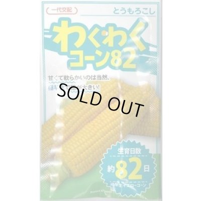 画像1: 送料無料　[とうもろこし]　わくわくコーン82　100粒　カネコ種苗（株）