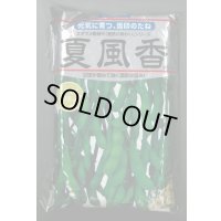 [枝豆]　夏風香　1L　雪印種苗(株)