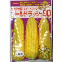 送料無料　[とうもろこし]　ゴールドラッシュ90　200粒　(株)サカタのタネ