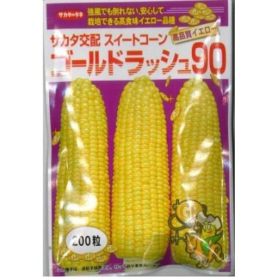 画像1: 送料無料　[とうもろこし]　ゴールドラッシュ90　200粒　(株)サカタのタネ