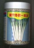 [ねぎ]　東京冬黒一本太　コート5千粒　トキタ種苗(株)