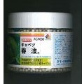 送料無料　[キャベツ]　春波　ペレット5千粒　タキイ種苗(株)