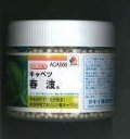 送料無料　[キャベツ]　春波　ペレット5千粒　タキイ種苗(株)