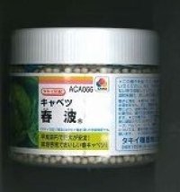 送料無料　[キャベツ]　春波　ペレット5千粒　タキイ種苗(株)