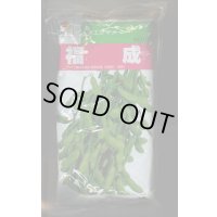 [枝豆]　福成　1L　タキイ種苗(株)