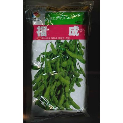 画像1: [枝豆]　福成　　1L　タキイ種苗（株）