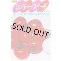[トマト/中玉トマト] シンディースイート 100粒 (株)サカタのタネ