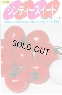 [トマト/中玉トマト] シンディースイート 100粒 (株)サカタのタネ