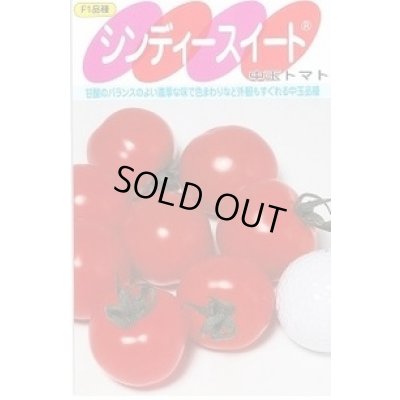 画像1: [トマト/中玉トマト] シンディースイート 100粒 (株)サカタのタネ