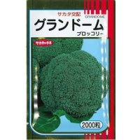 送料無料　[ブロッコリー]　グランドーム　2000粒　(株)サカタのタネ