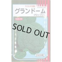 [ブロッコリー]　グランドーム　2000粒　サカタ交配　