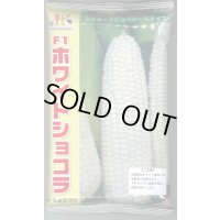 [とうもろこし]　ホワイトショコラ　2000粒　ヴィルモランみかど（株）