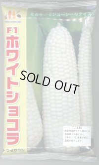 [とうもろこし]　ホワイトショコラ　2000粒　ヴィルモランみかど（株）