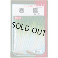 送料無料 [ねぎ] 春扇 20ml(裸種子) (株)サカタのタネ