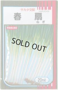 送料無料 [ねぎ] 春扇 20ml(裸種子) (株)サカタのタネ